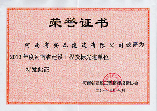 2013年度省投标先 进企业